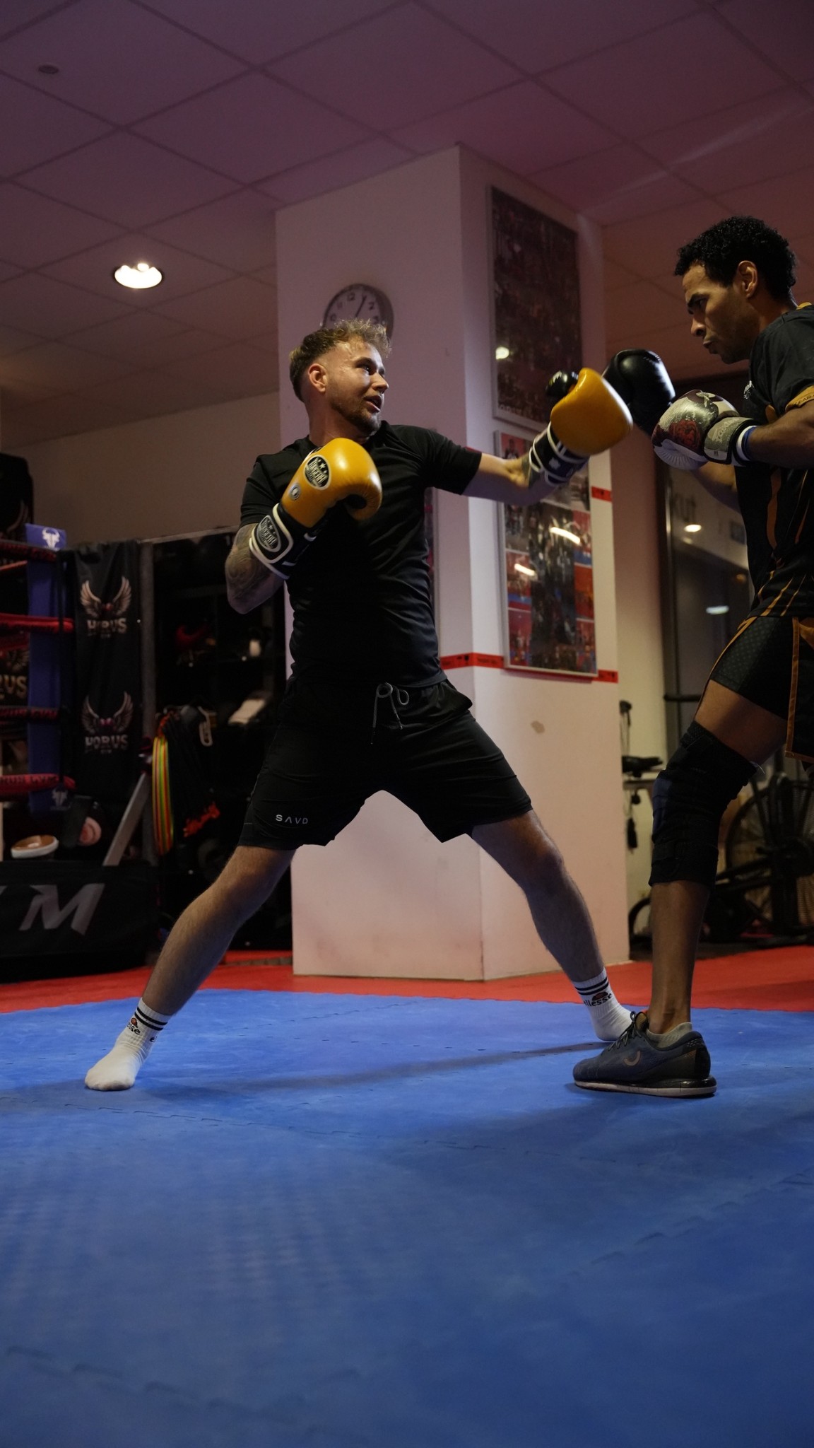 Fitness Boxen & Kickboxen